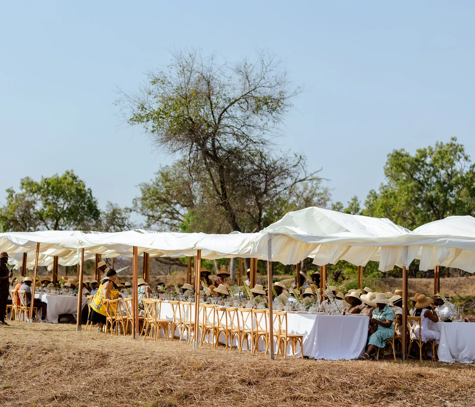 A Golden Celebration featured photograph